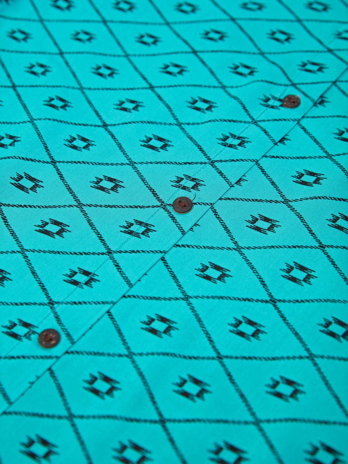 Mimosa Women Turquoise Blue Color Printed Straight Kurta