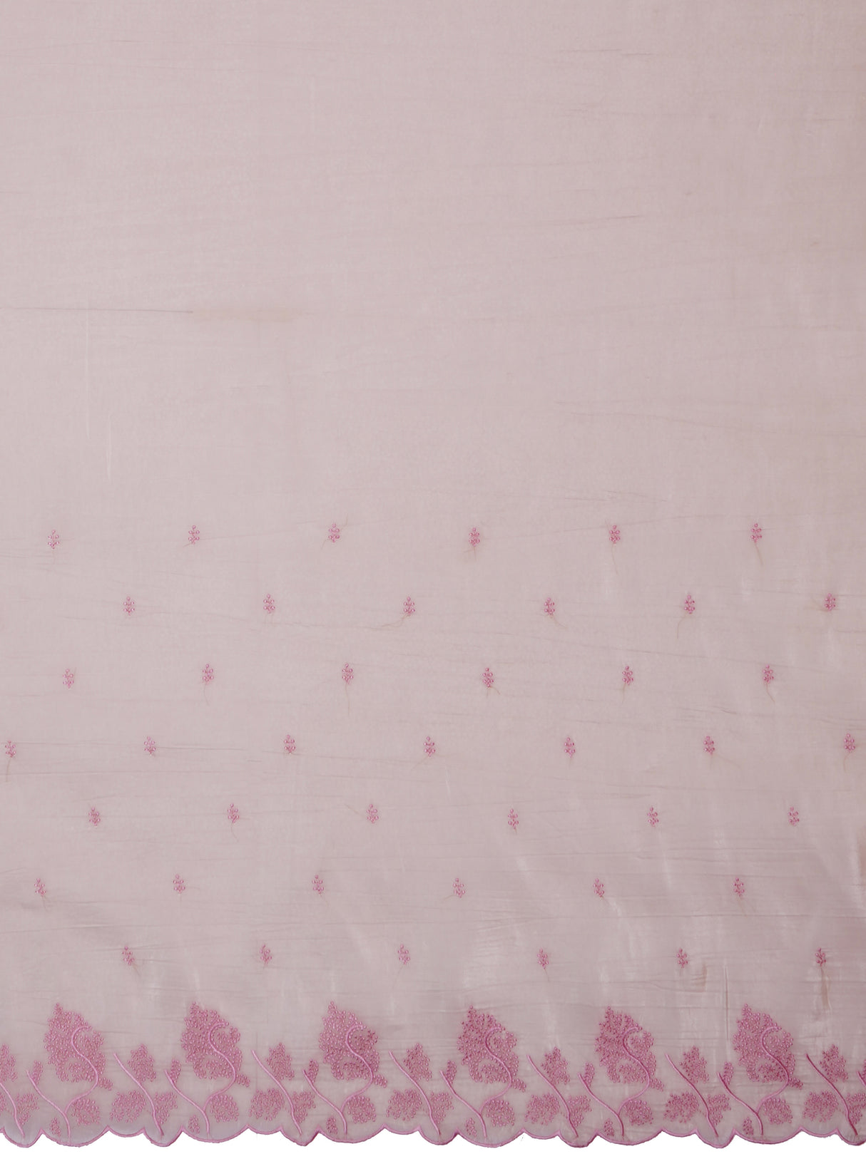 Mimosa Women's Woven Design Banarasi Style Tissue Crush Saree With Blouse Piece : SA00002013TSFREE