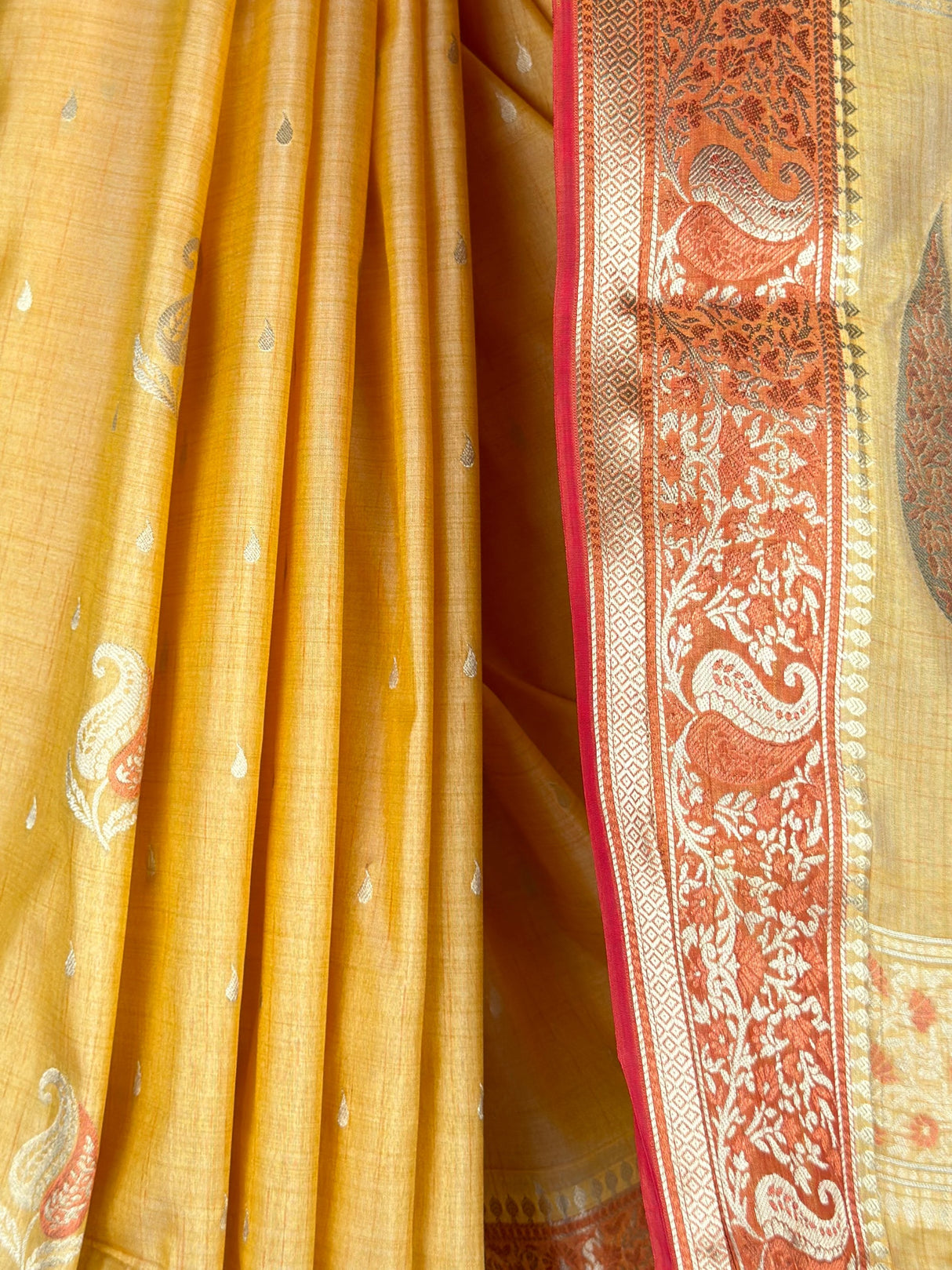 MIMOSA Saree Saree — fleets shot full lifestyle