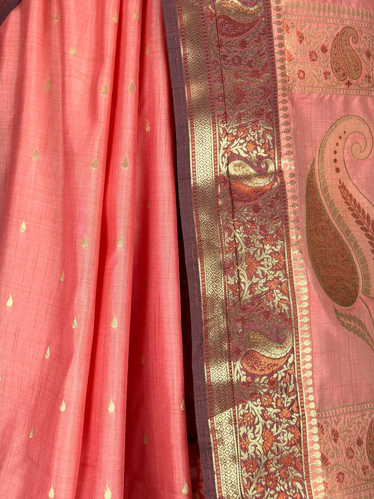 MIMOSA Saree Saree — fleets shot full lifestyle