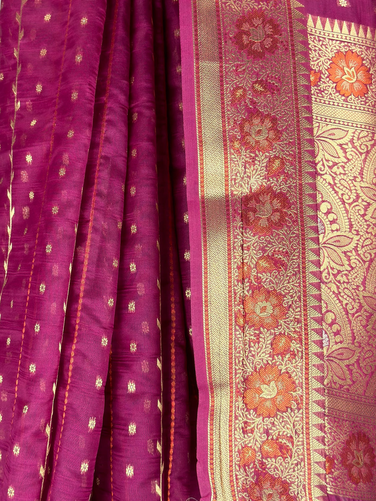 MIMOSA Saree Saree — fleets shot full lifestyle