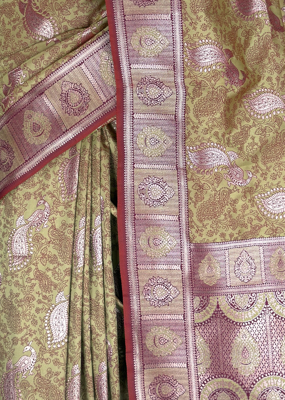 MIMOSA Saree Saree β fleets shot full lifestyle