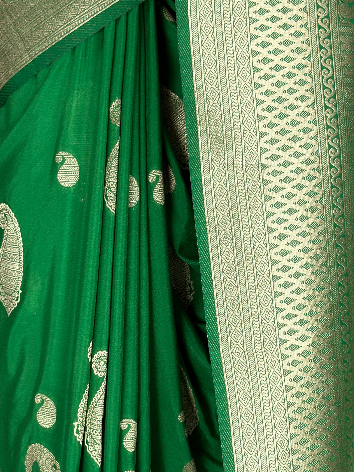 MIMOSA Saree Saree — fleets shot full lifestyle