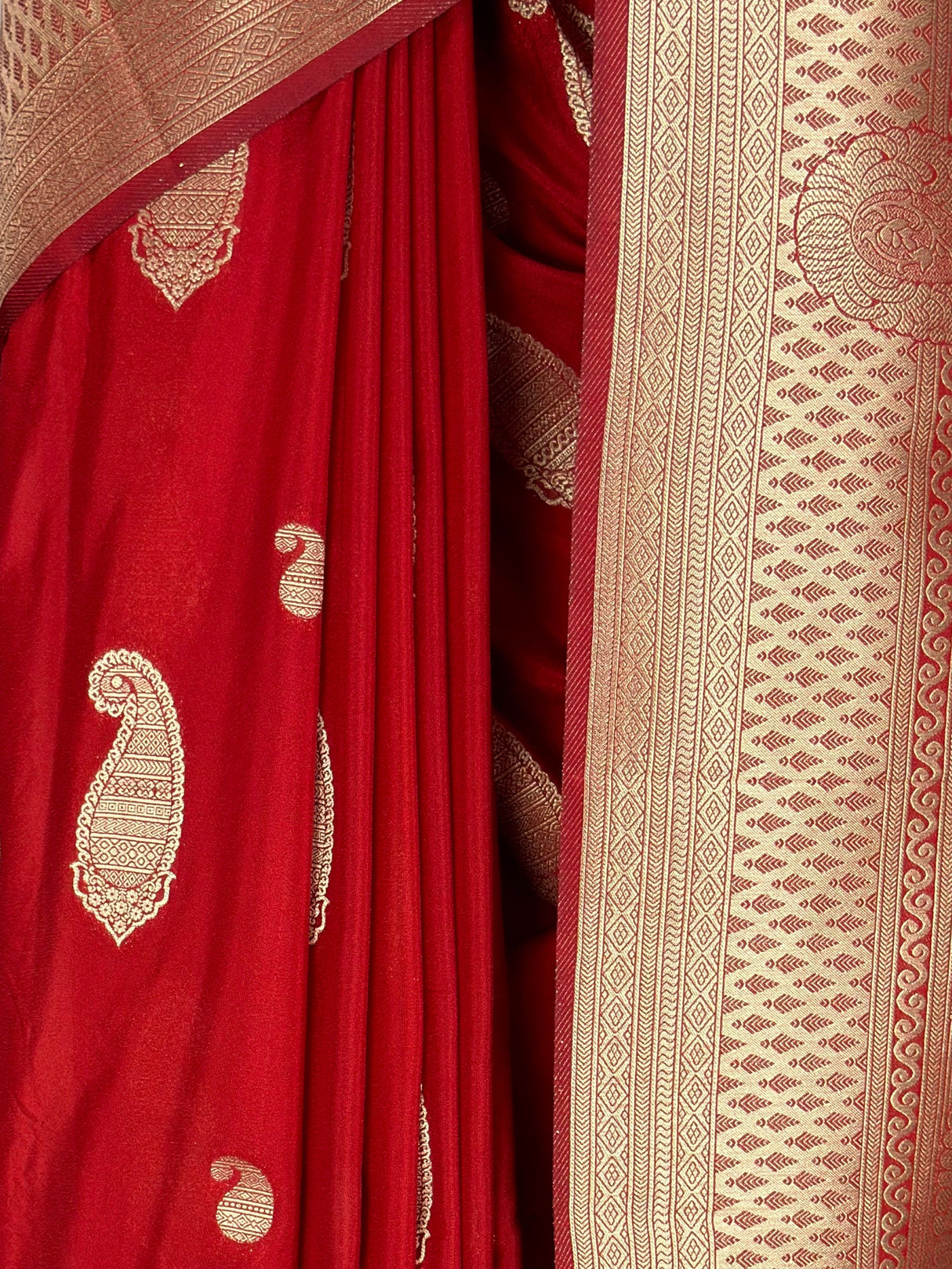 MIMOSA Saree Saree — fleets shot full lifestyle