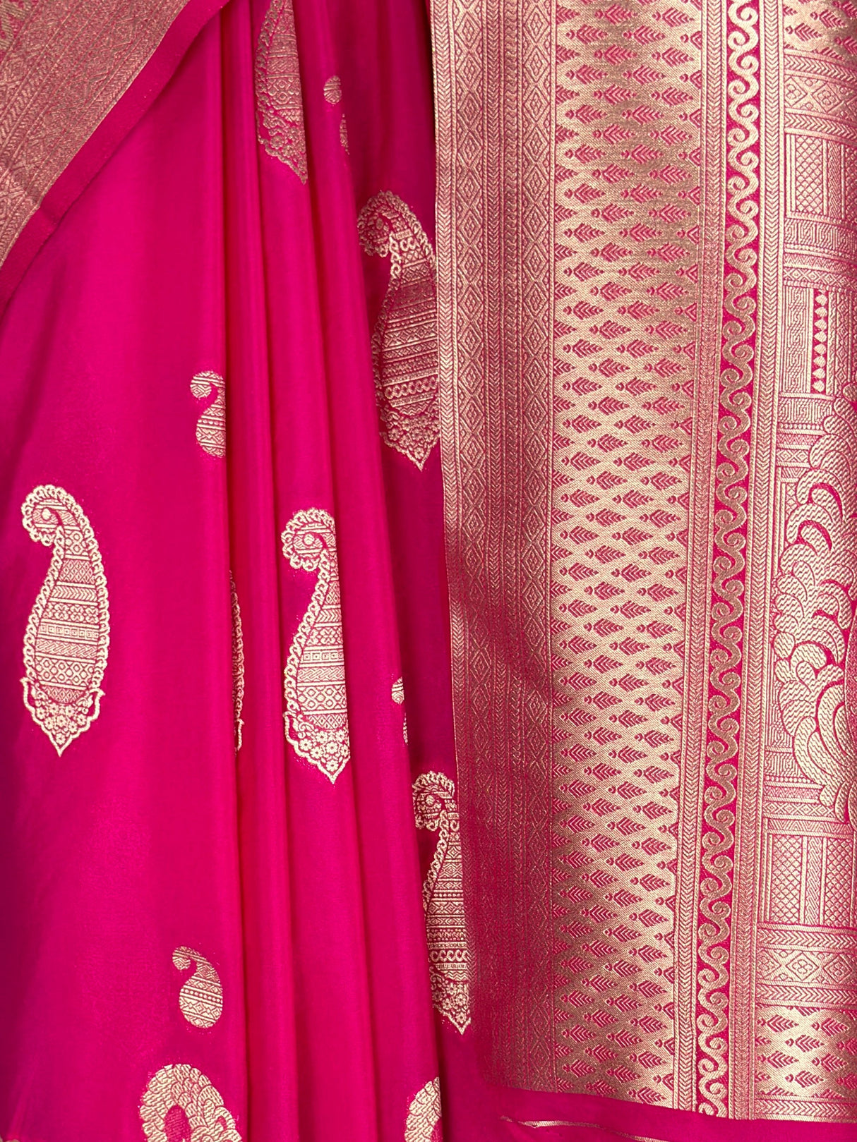 MIMOSA Saree Saree — fleets shot full lifestyle