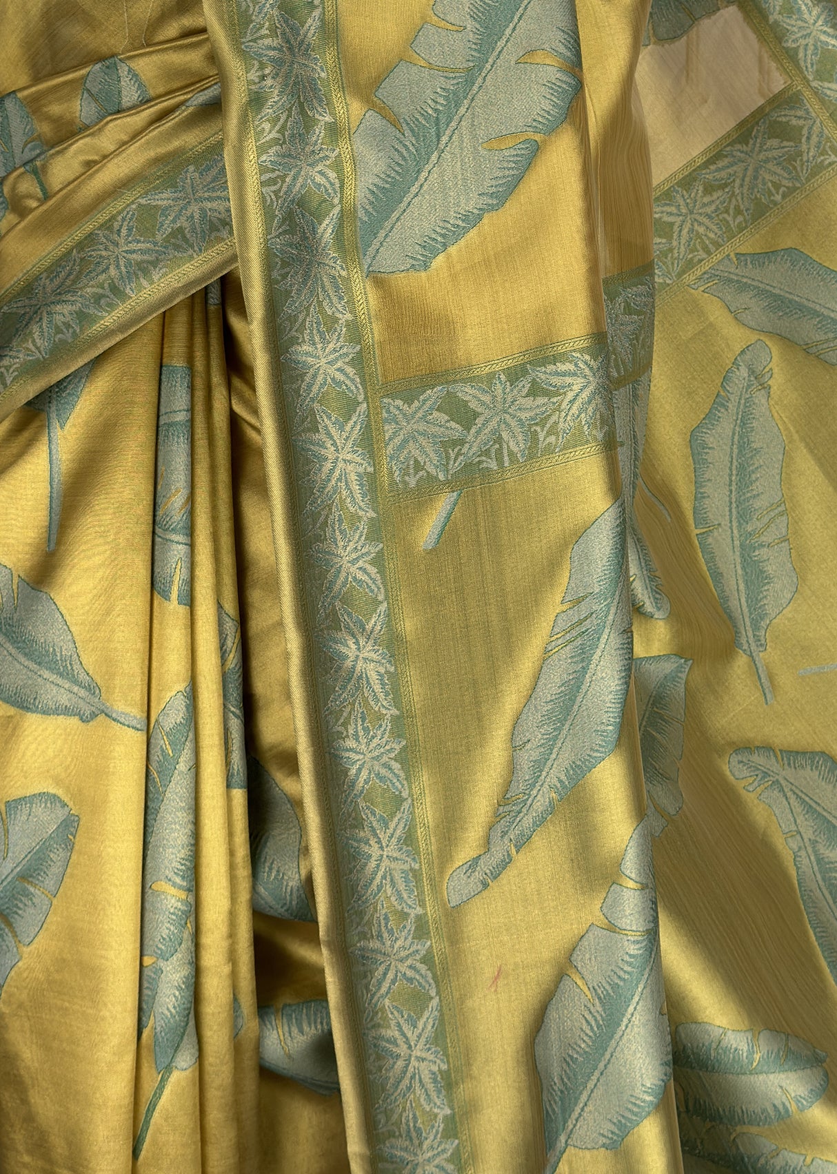 MIMOSA Saree Saree — fleets shot full lifestyle