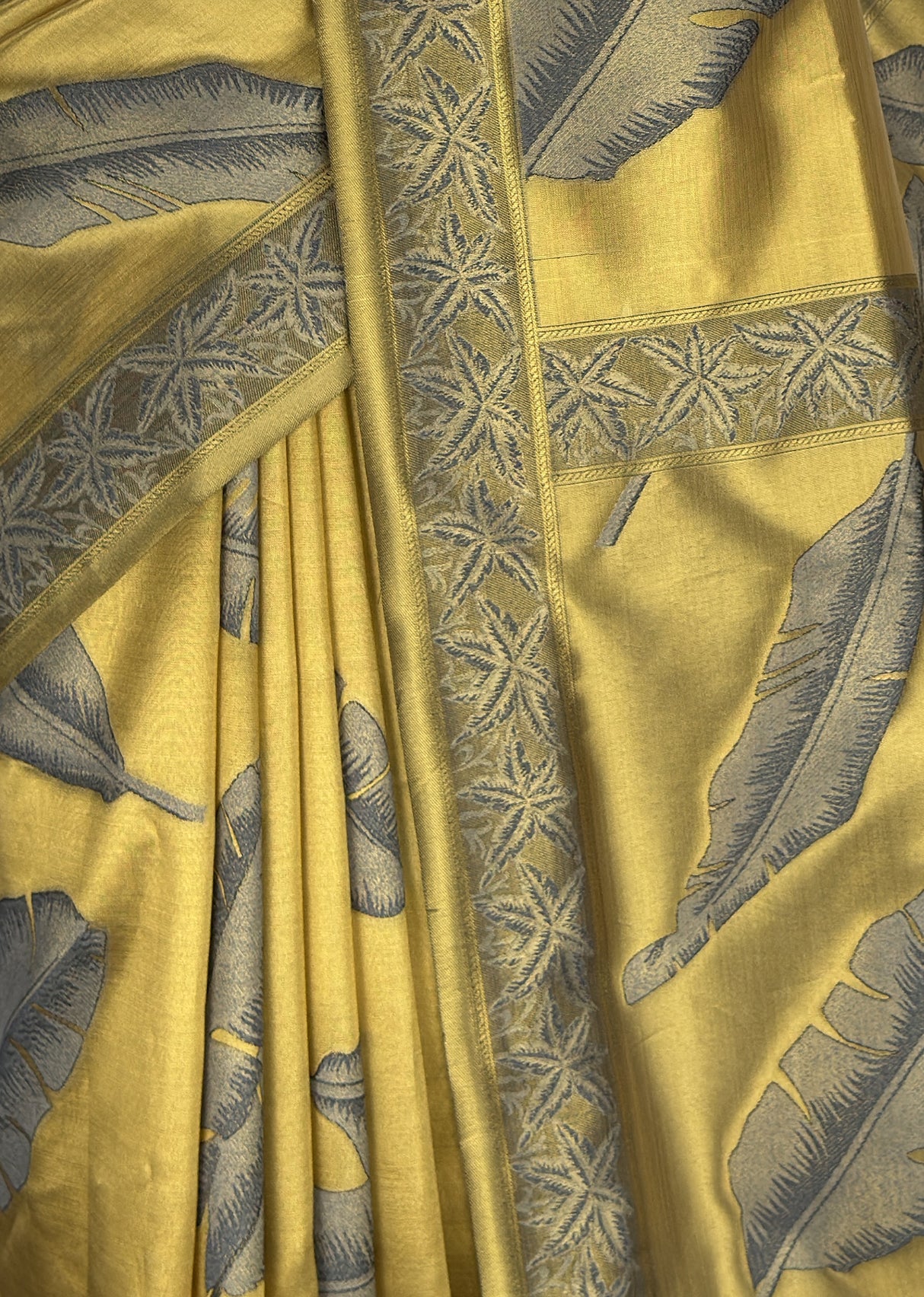 MIMOSA Saree Saree — fleets shot full lifestyle