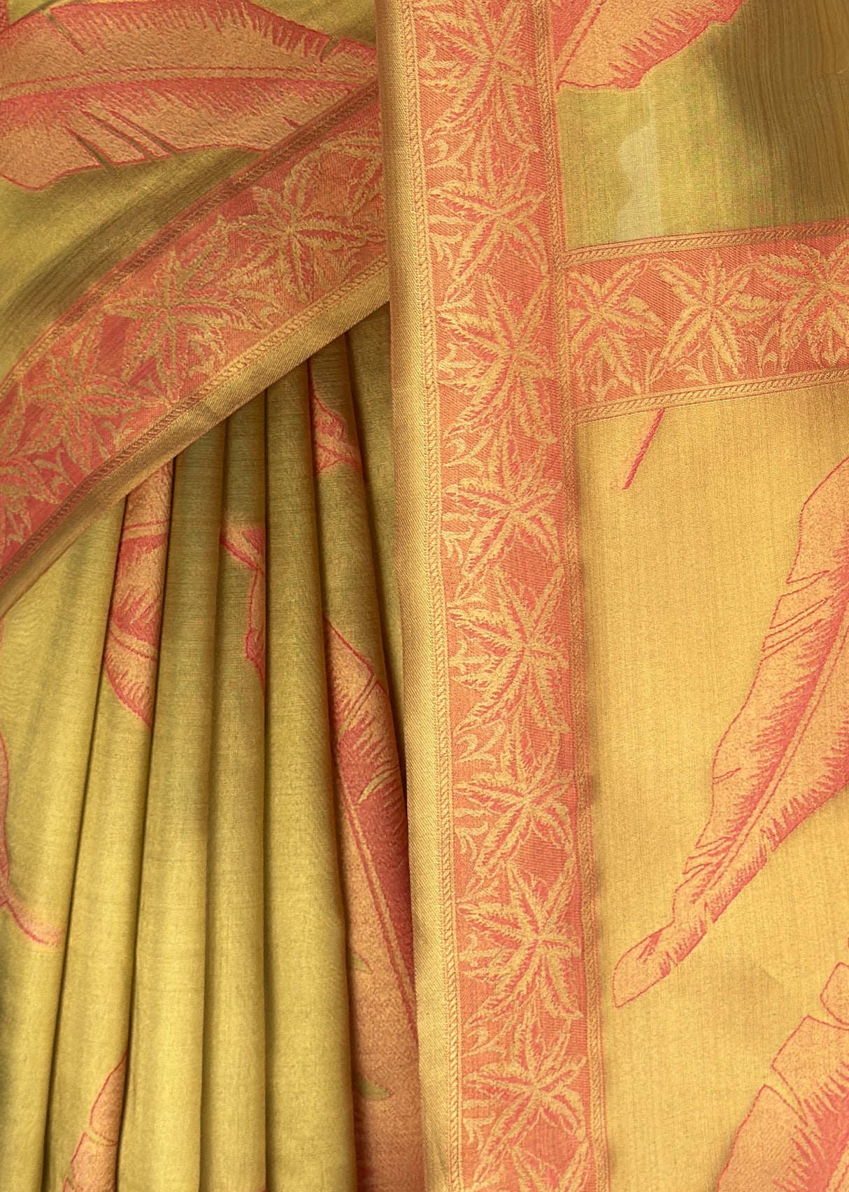 MIMOSA Saree Saree — fleets shot full lifestyle