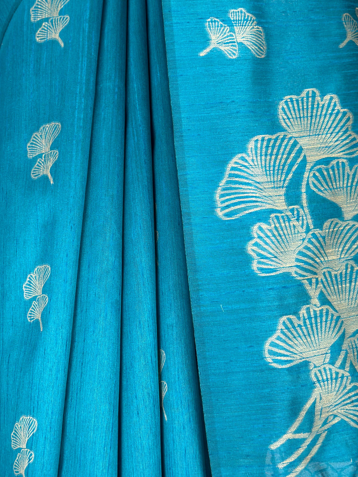 MIMOSA Saree Saree — fleets shot full lifestyle
