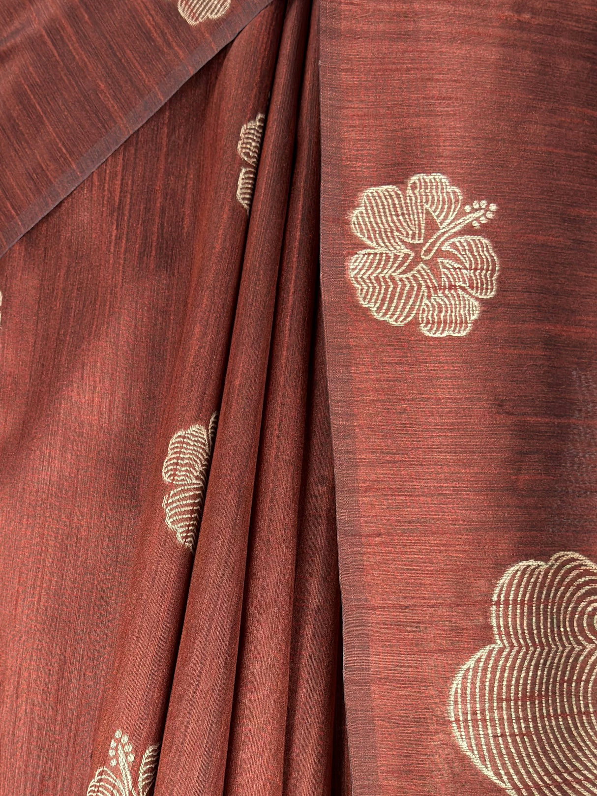 MIMOSA Saree Saree — fleets shot full lifestyle