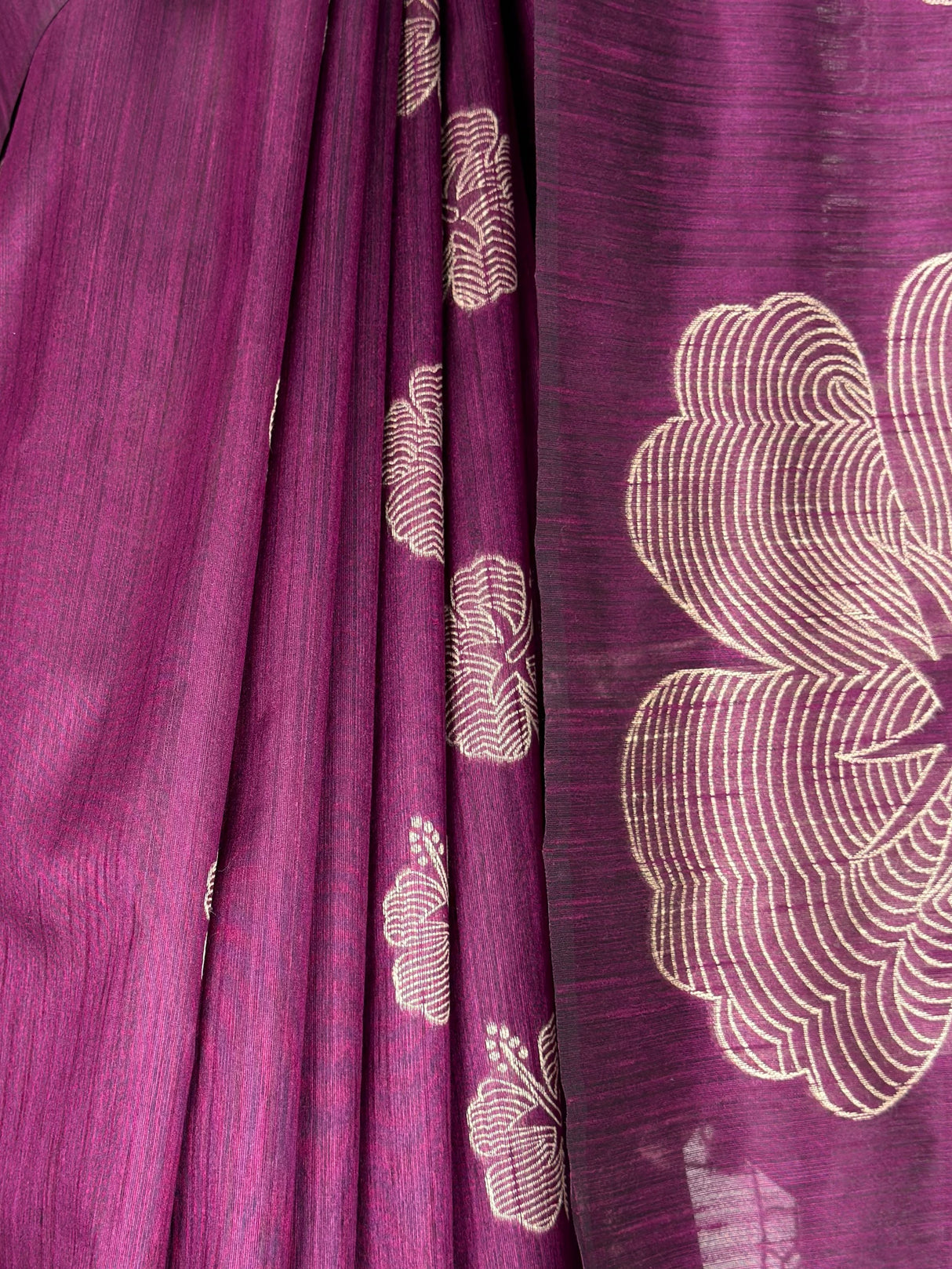 MIMOSA Saree Saree — fleets shot full lifestyle