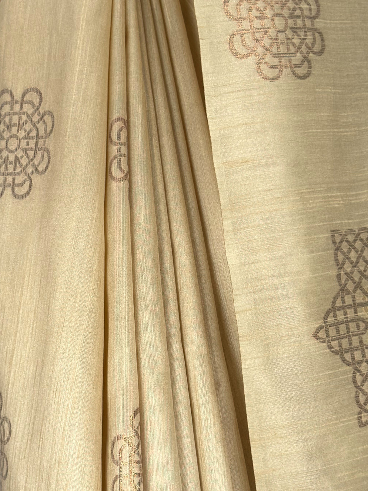 MIMOSA Saree Saree — fleets shot full lifestyle