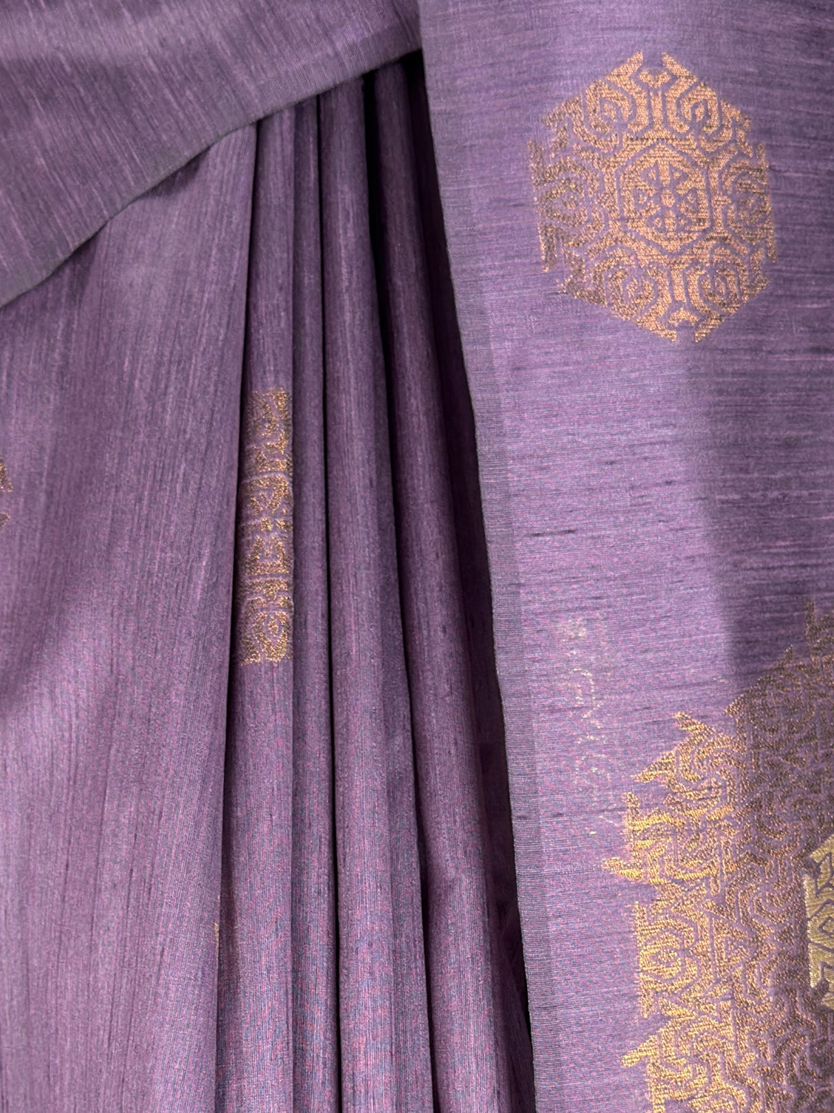 MIMOSA Saree Saree — fleets shot full lifestyle