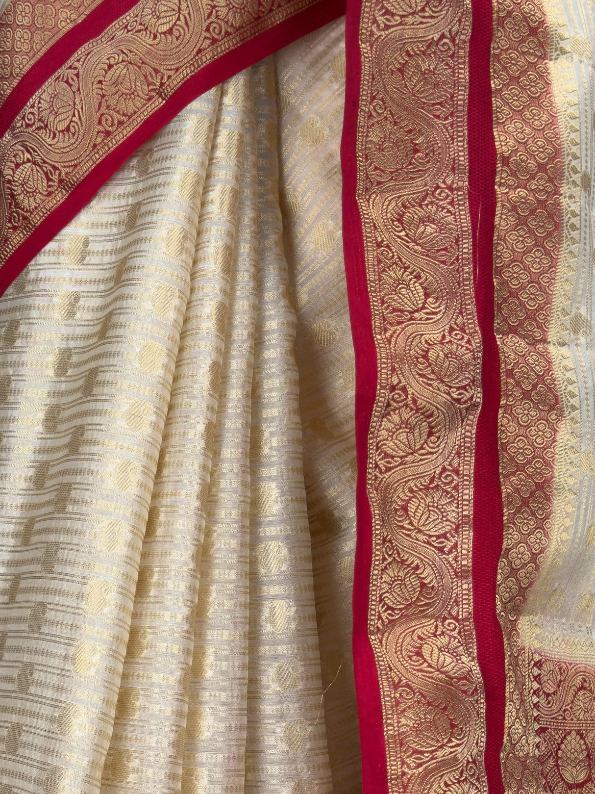 MIMOSA Saree Saree — fleets shot full lifestyle