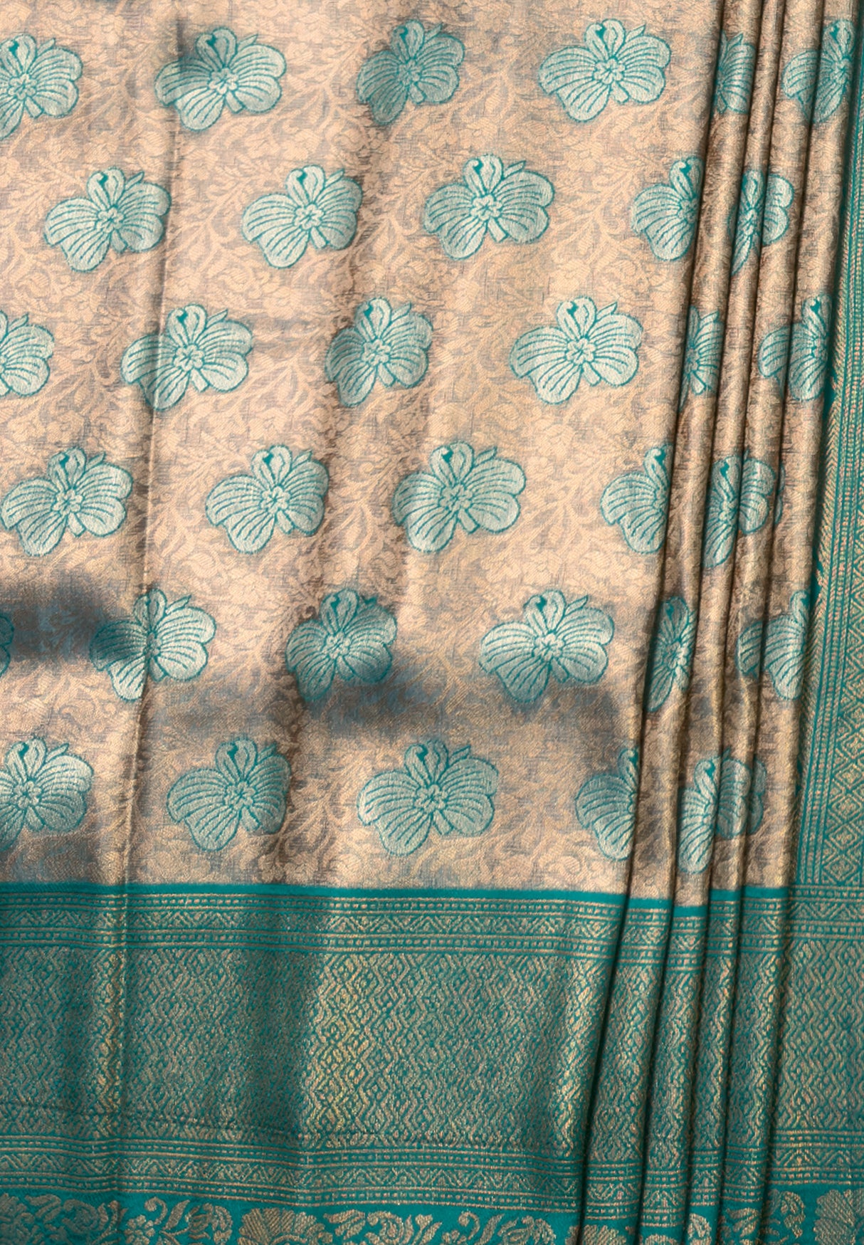 MIMOSA Saree Saree β fleets shot full lifestyle