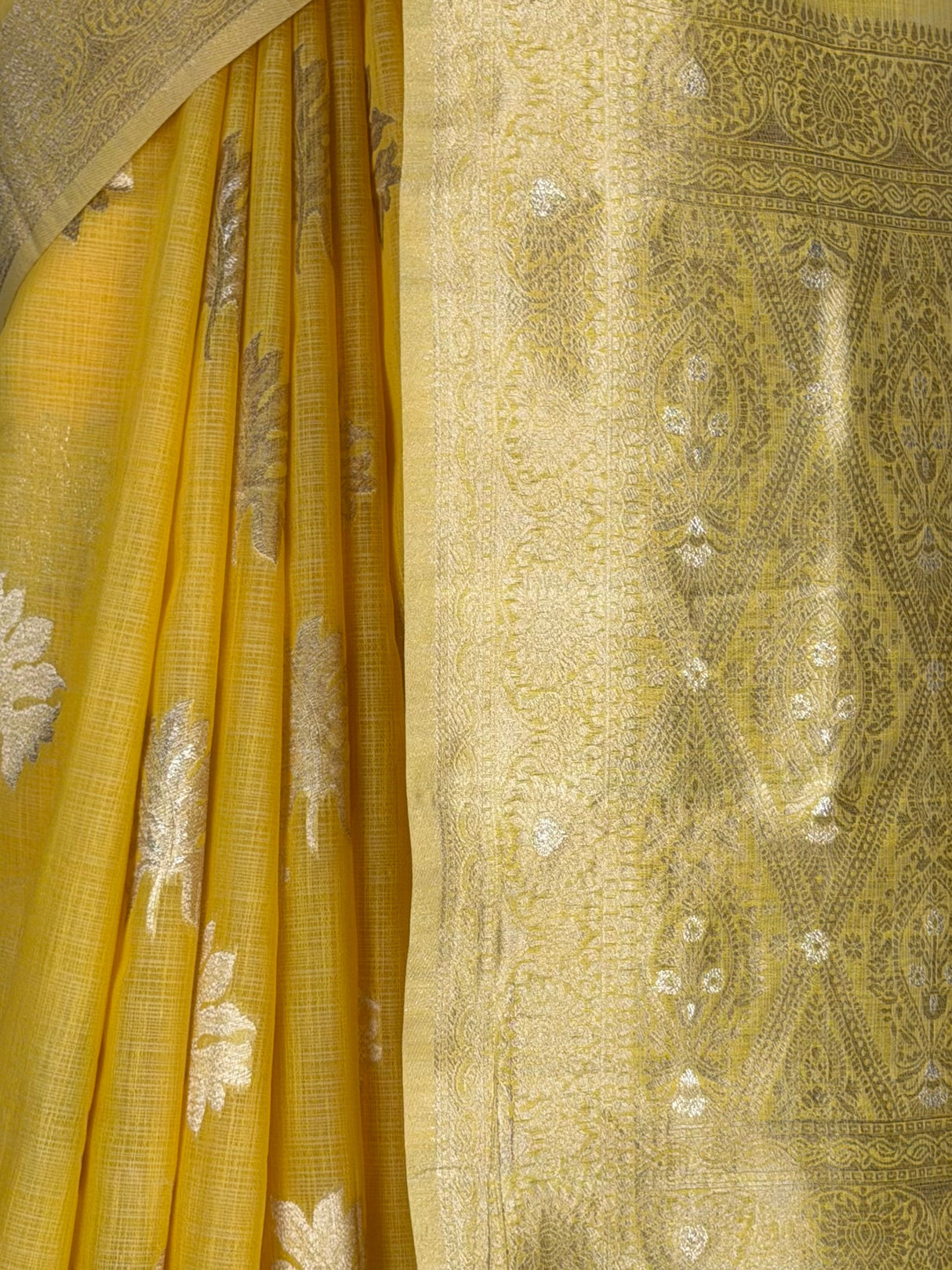 MIMOSA Saree Saree — fleets shot full lifestyle