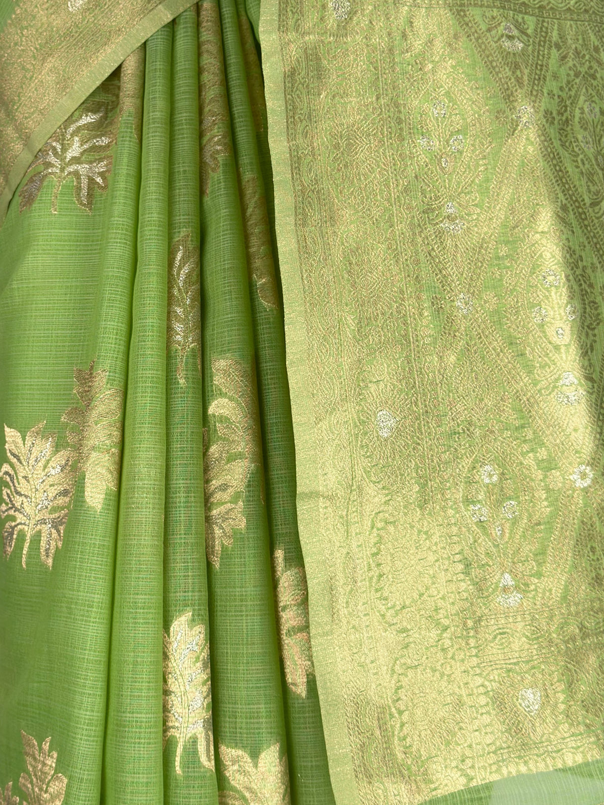 MIMOSA Saree Saree — fleets shot full lifestyle