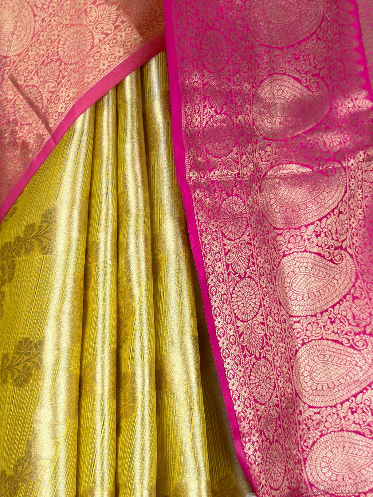 MIMOSA Saree Saree — fleets shot full lifestyle