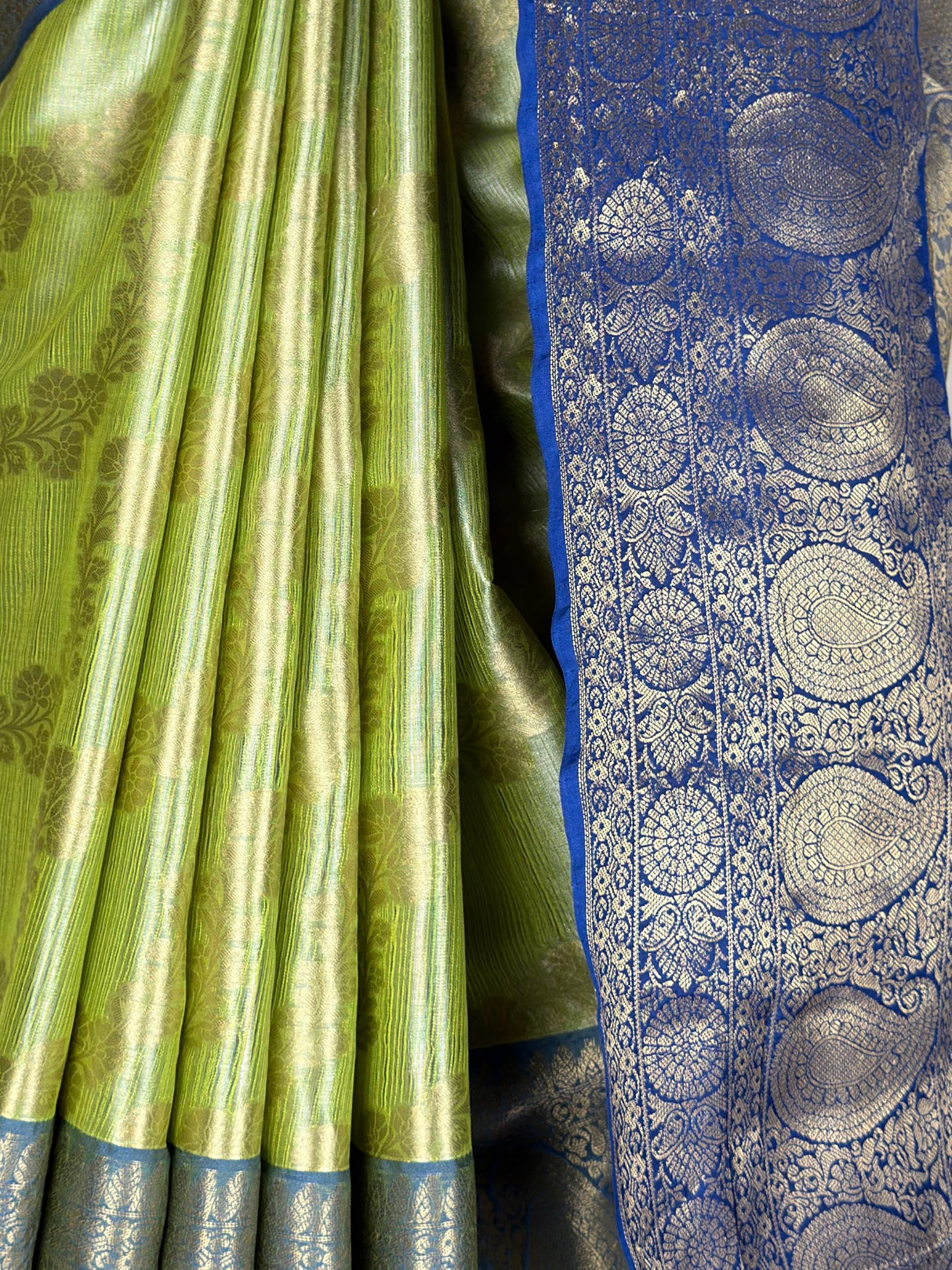 MIMOSA Saree Saree — fleets shot full lifestyle