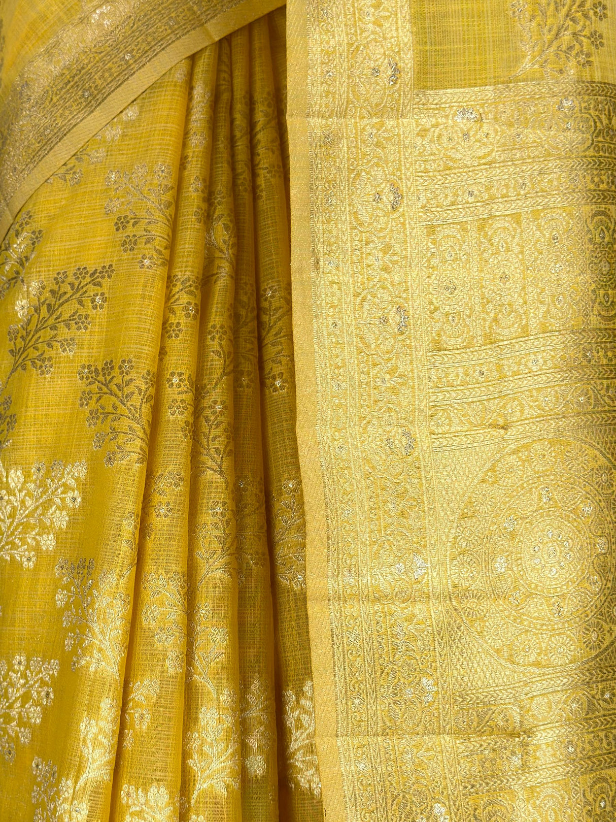 MIMOSA Saree Saree — fleets shot full lifestyle