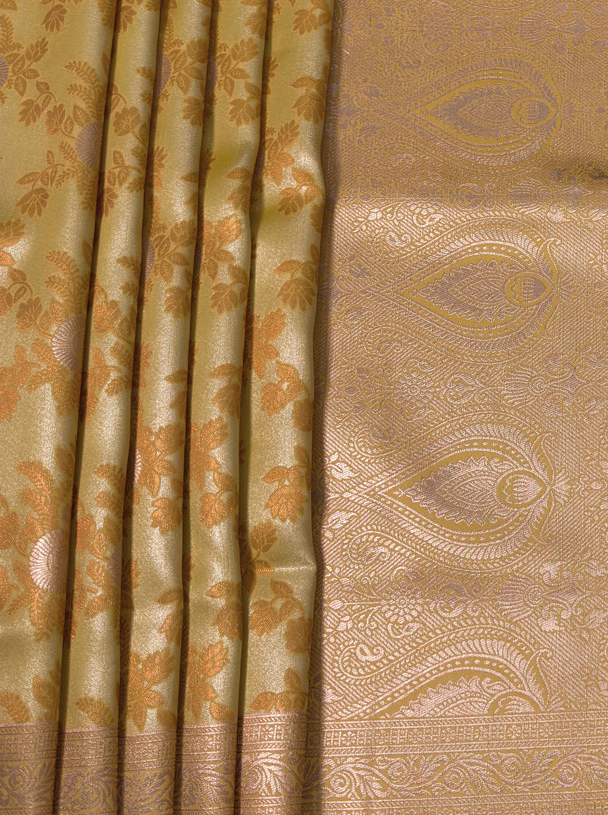 MIMOSA Saree Saree β fleets shot full lifestyle