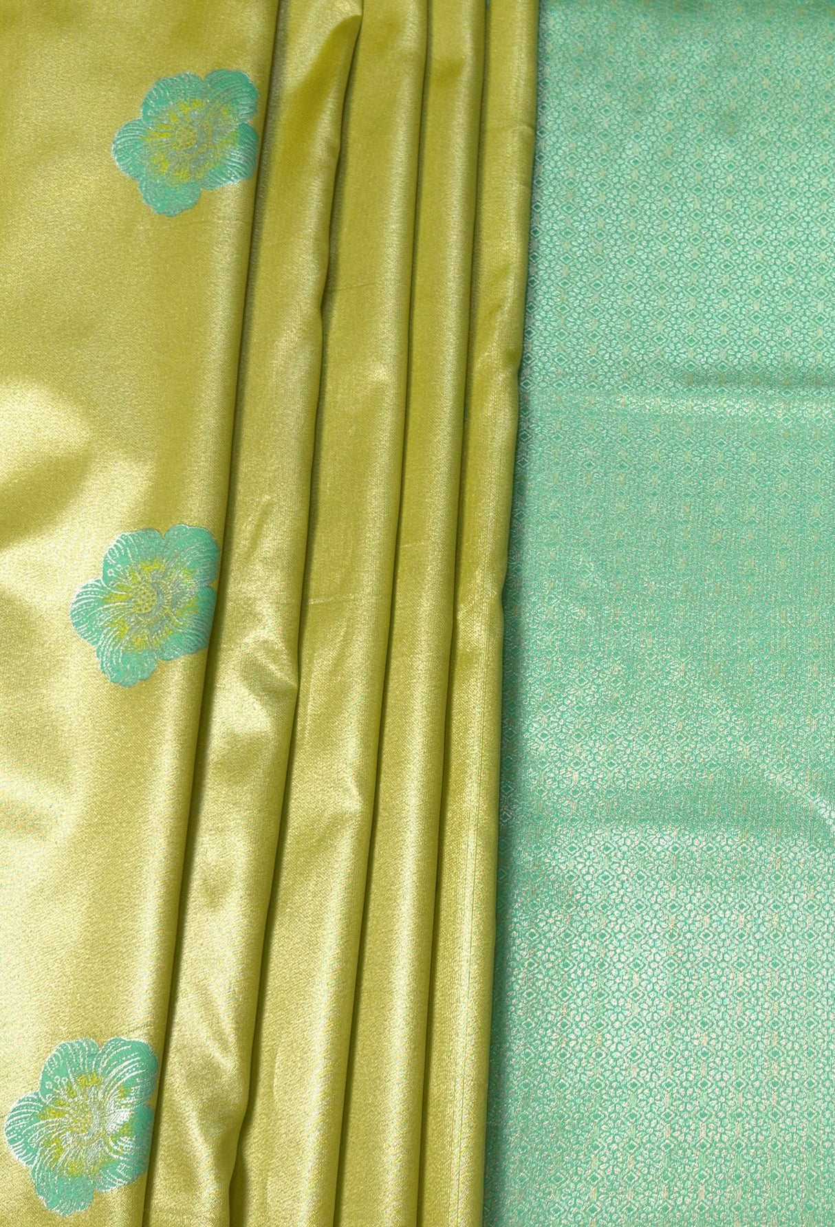 MIMOSA Saree Saree β fleets shot full lifestyle