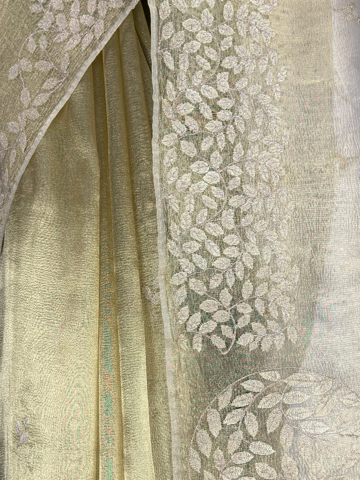 MIMOSA Saree Saree — fleets shot full lifestyle