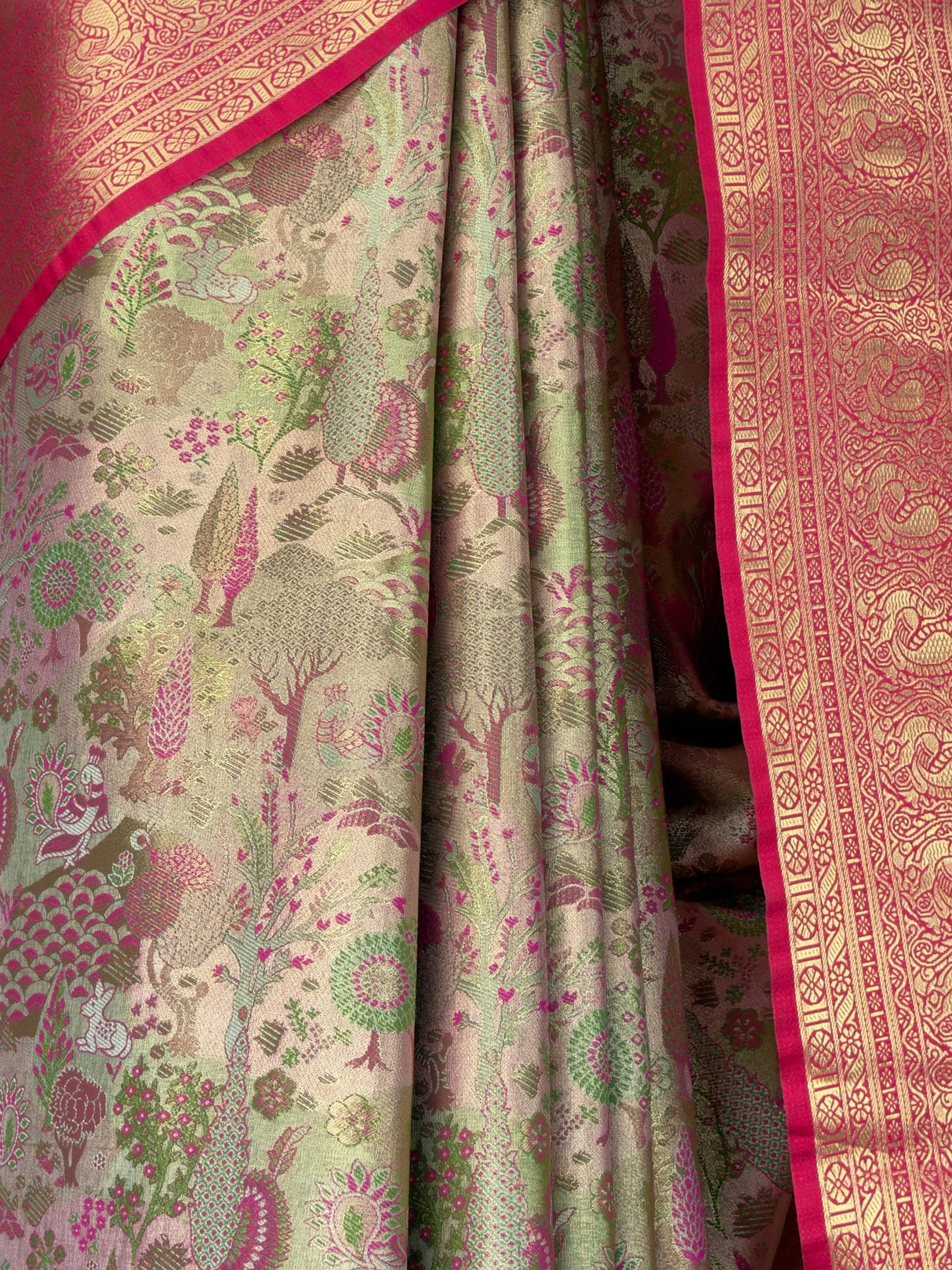 MIMOSA Saree Saree — fleets shot full lifestyle