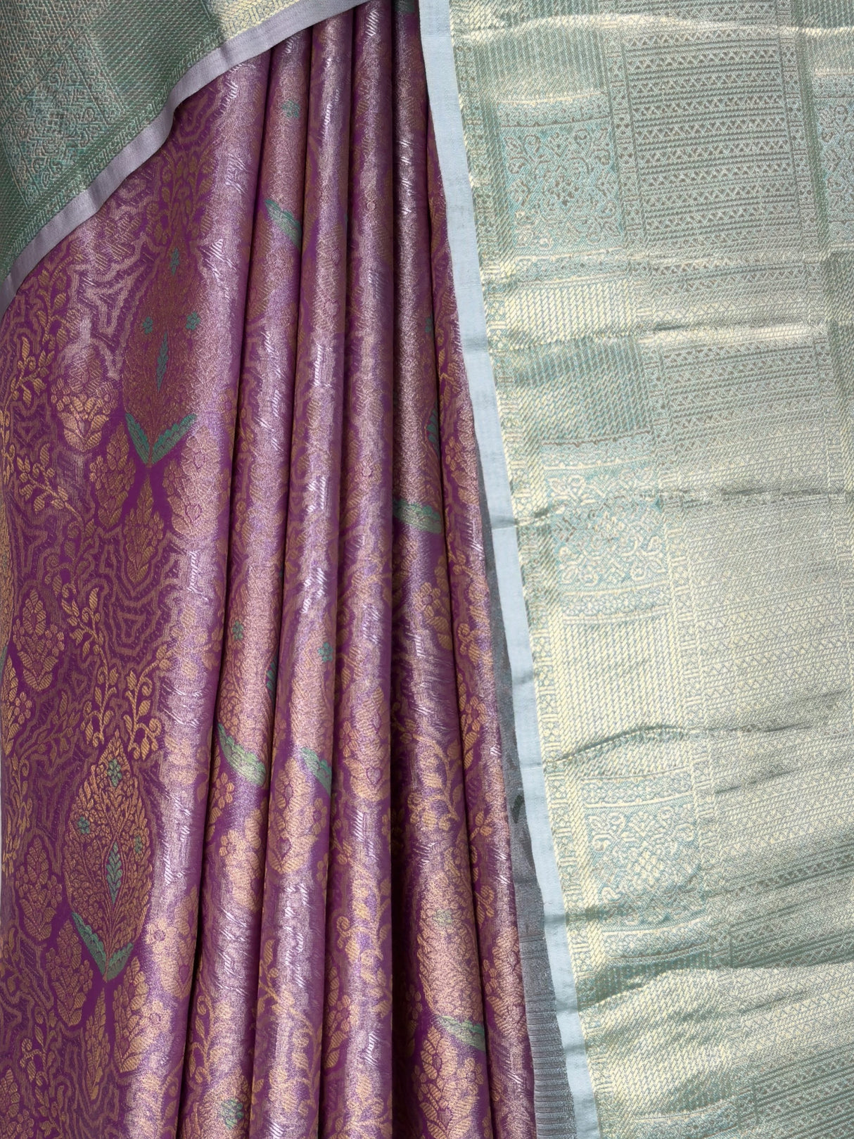 MIMOSA Saree Saree — fleets shot full lifestyle