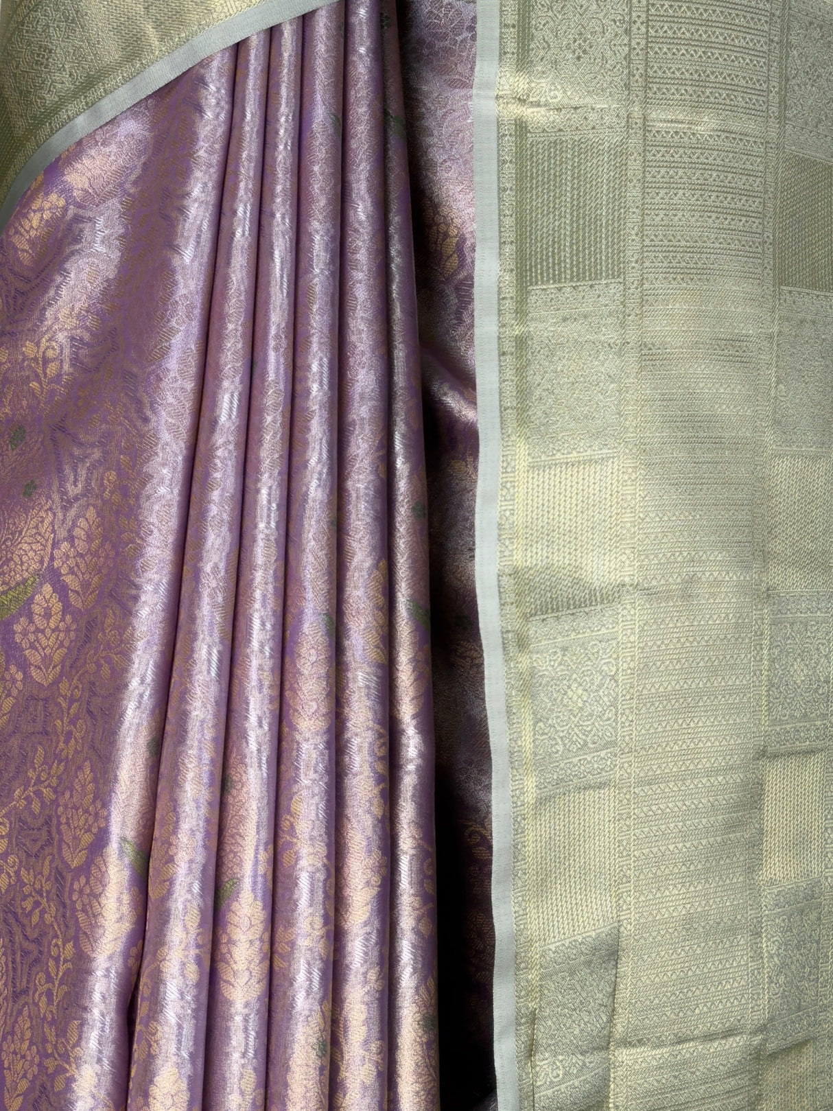 MIMOSA Saree Saree — fleets shot full lifestyle