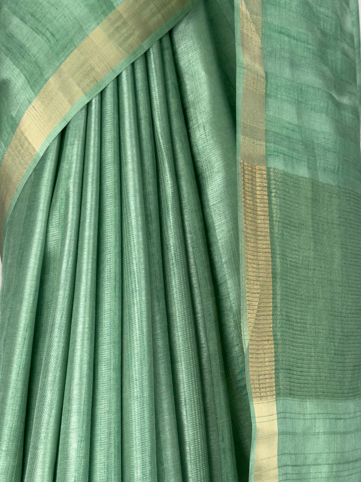 MIMOSA Pista Saree Saree — fleets shot full lifestyle