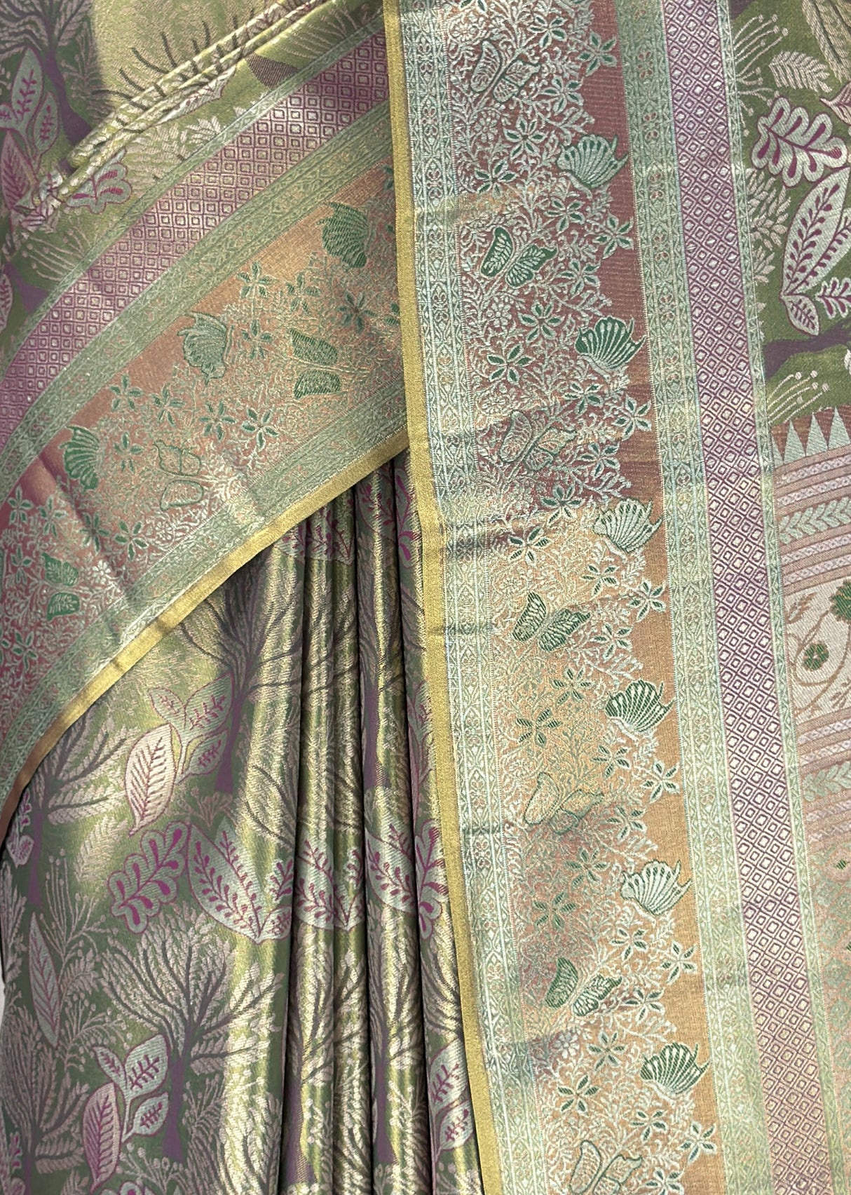 MIMOSA Saree Saree β fleets shot full lifestyle
