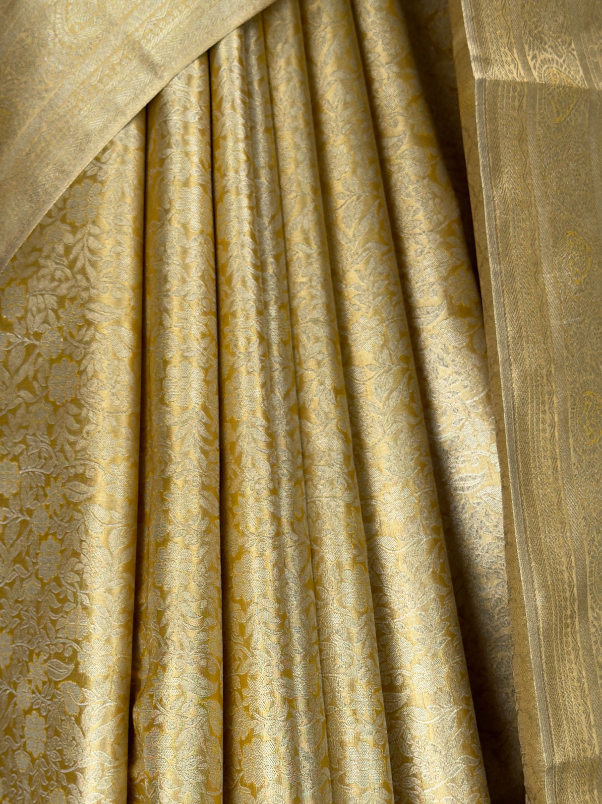 MIMOSA Saree Saree — fleets shot full lifestyle