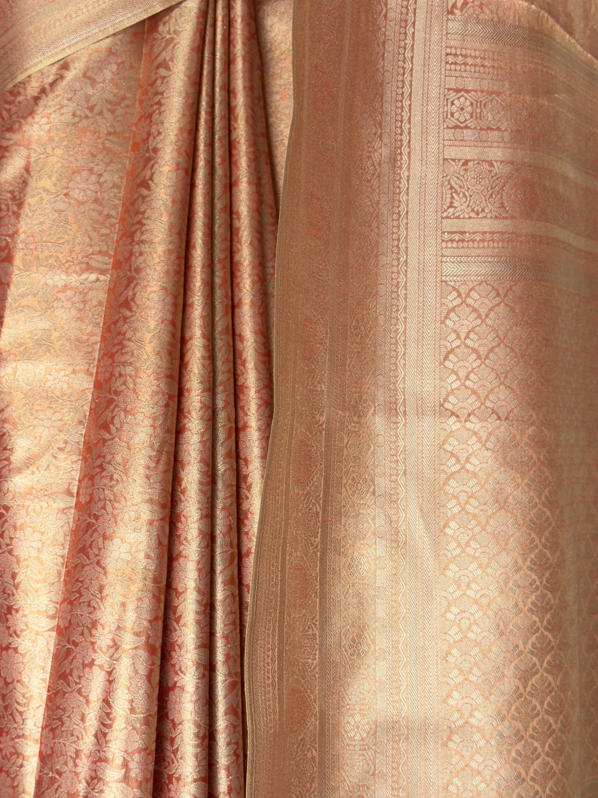 MIMOSA Saree Saree — fleets shot full lifestyle