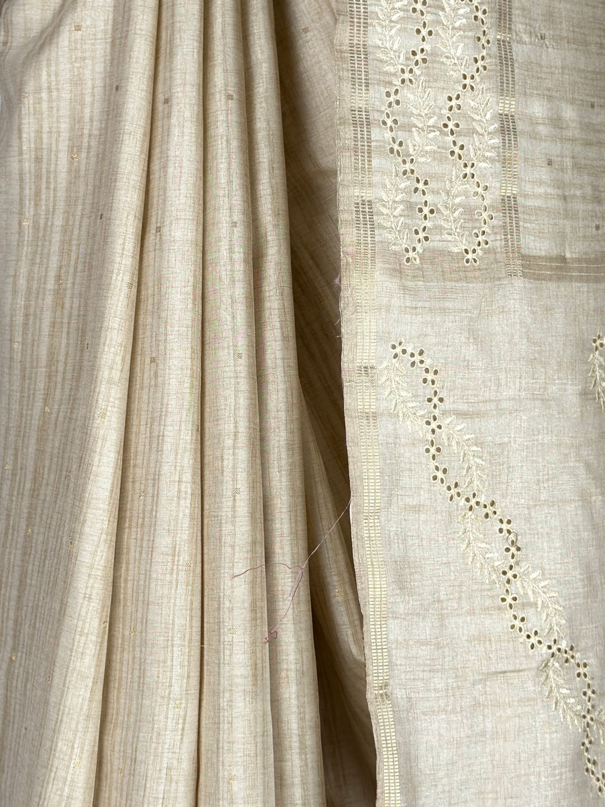 MIMOSA Saree Saree — fleets shot full lifestyle