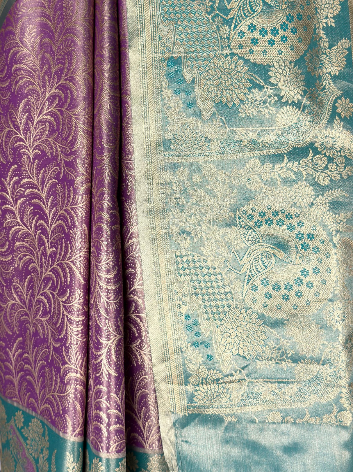 MIMOSA Saree Saree — fleets shot full lifestyle