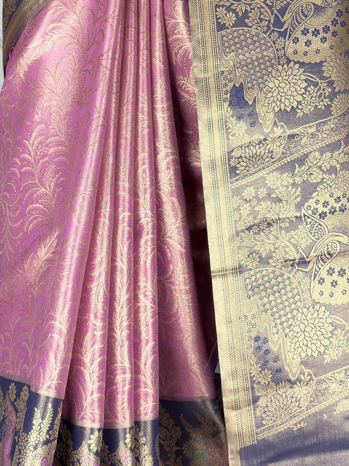 MIMOSA Saree Saree — fleets shot full lifestyle