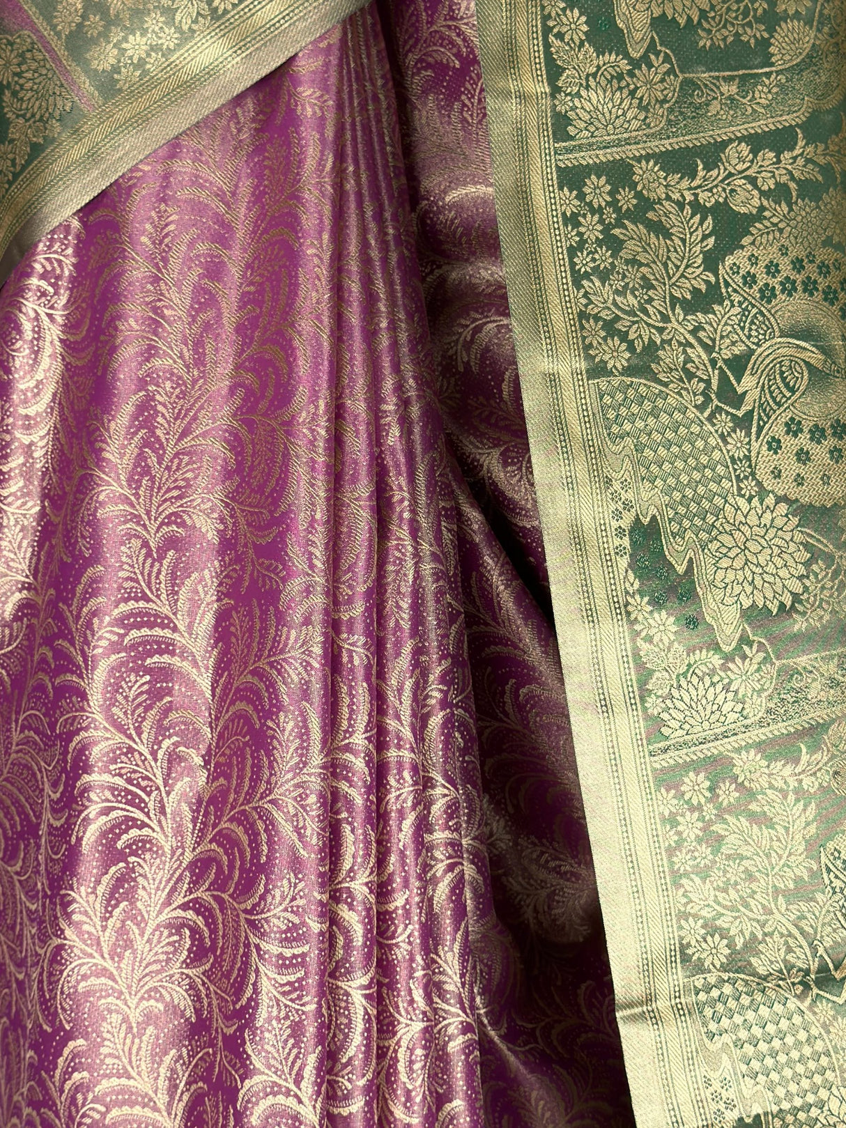 MIMOSA Saree Saree — fleets shot full lifestyle