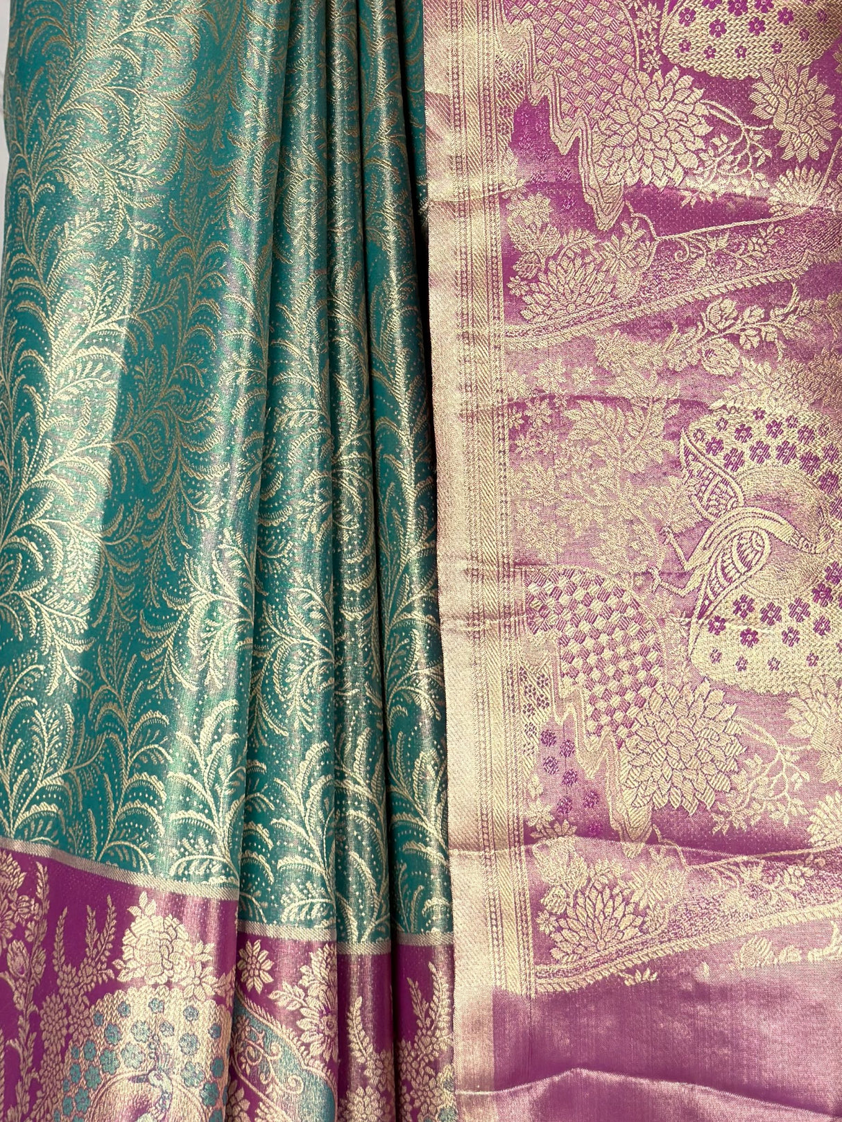 MIMOSA Saree Saree — fleets shot full lifestyle