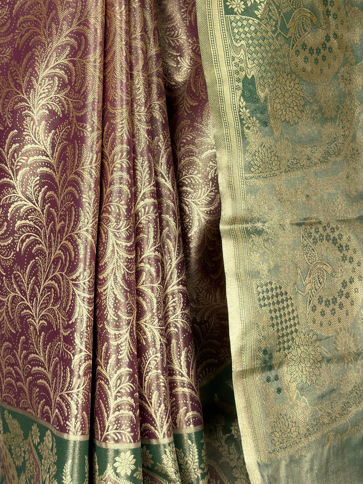 MIMOSA Saree Saree — fleets shot full lifestyle