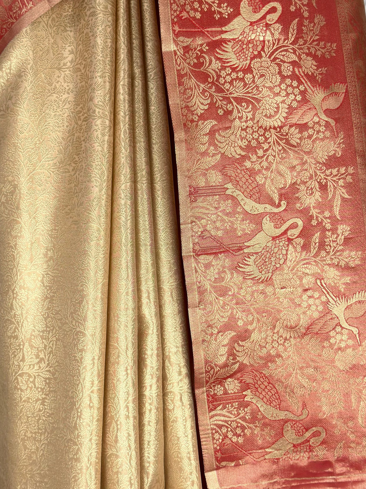 MIMOSA Saree Saree — fleets shot full lifestyle