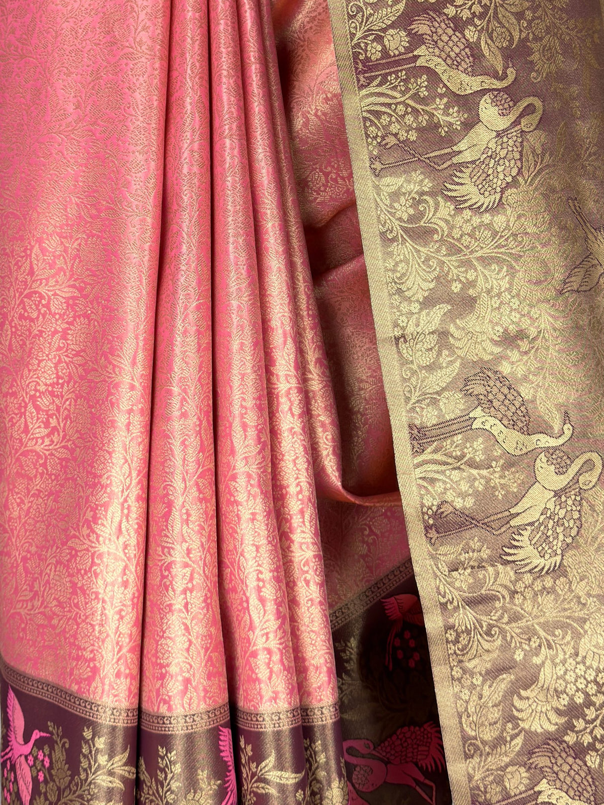 MIMOSA Saree Saree — fleets shot full lifestyle