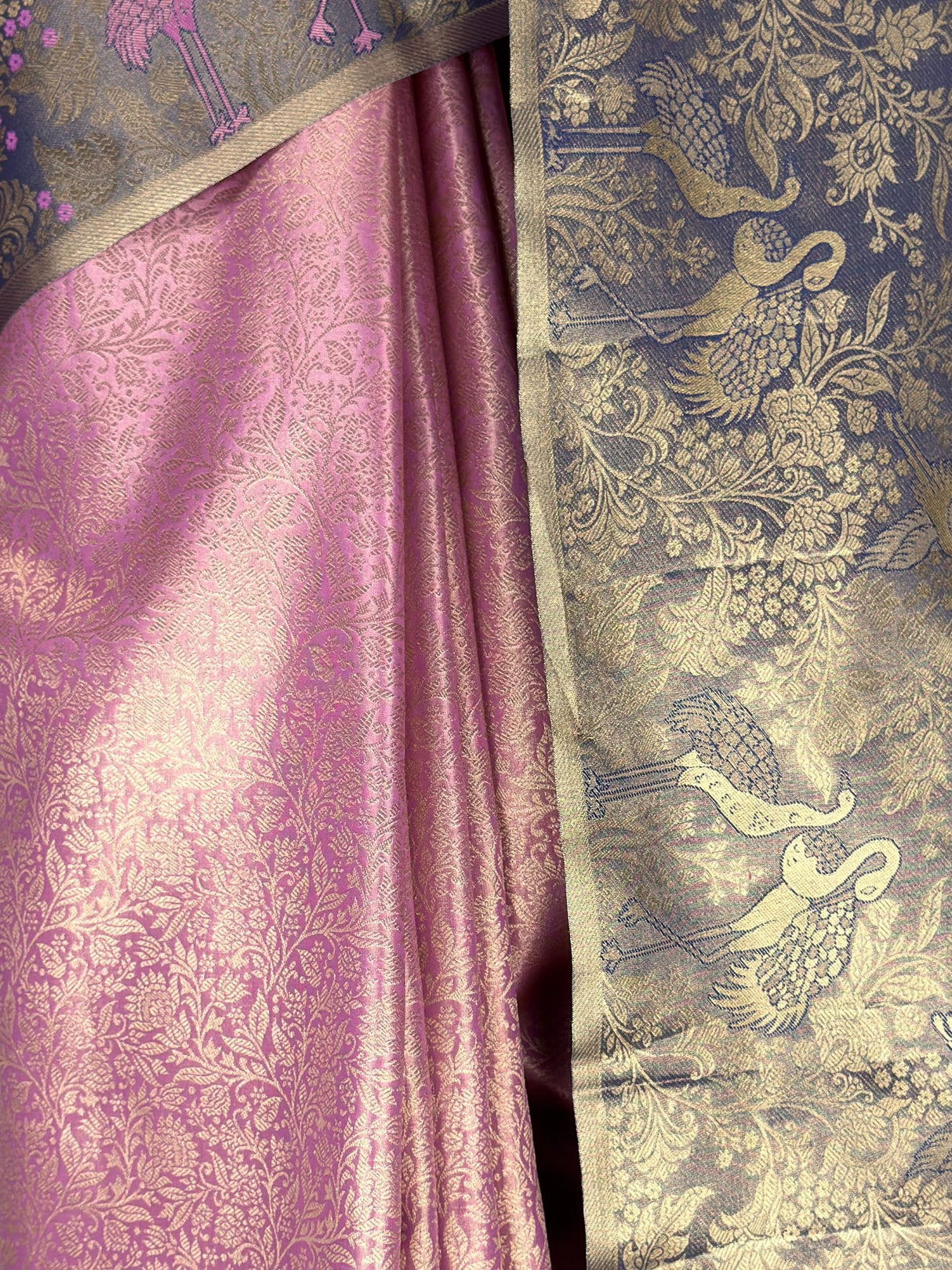 MIMOSA Saree Saree — fleets shot full lifestyle