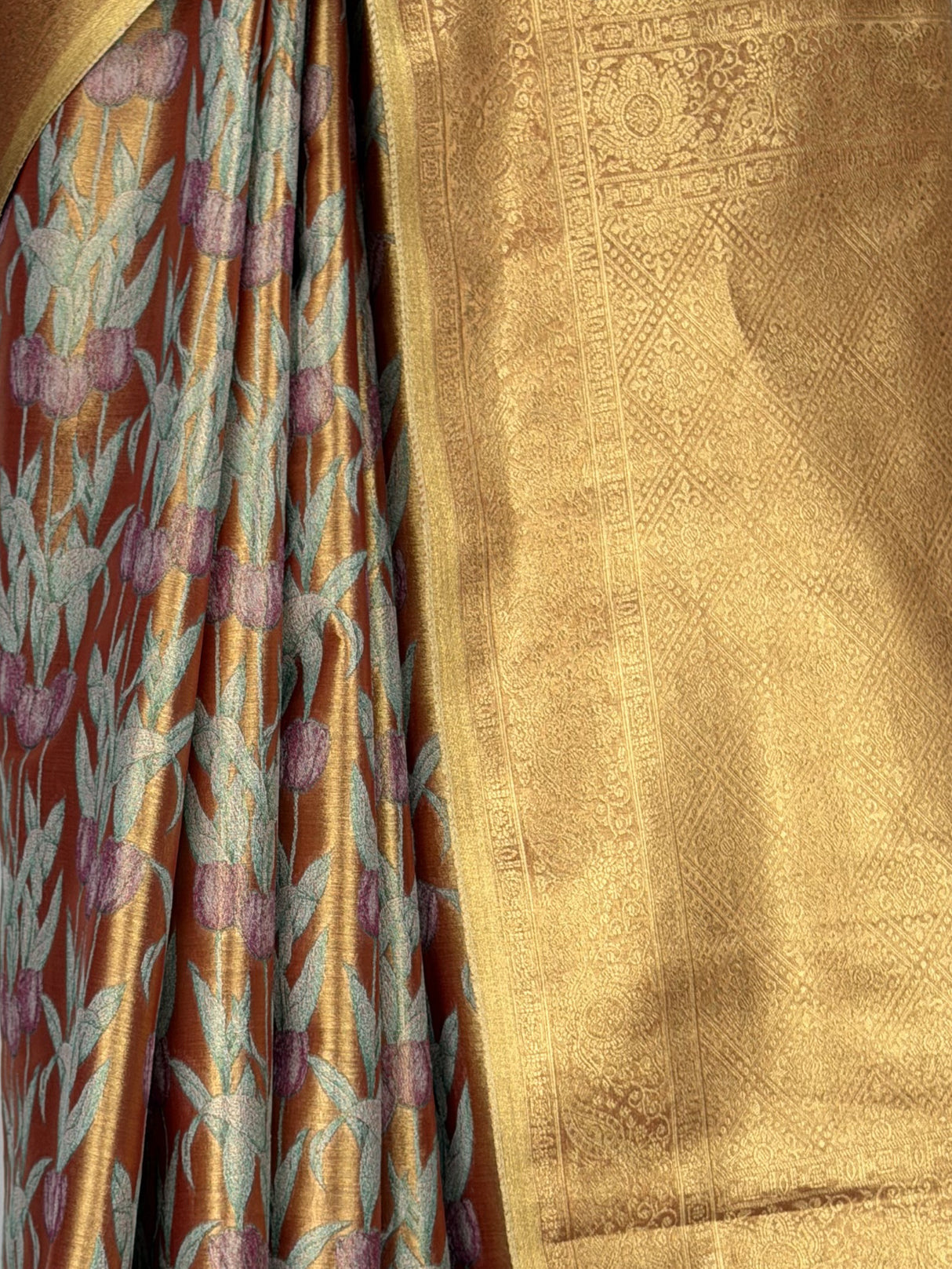MIMOSA Red Saree Saree — fleets shot full lifestyle