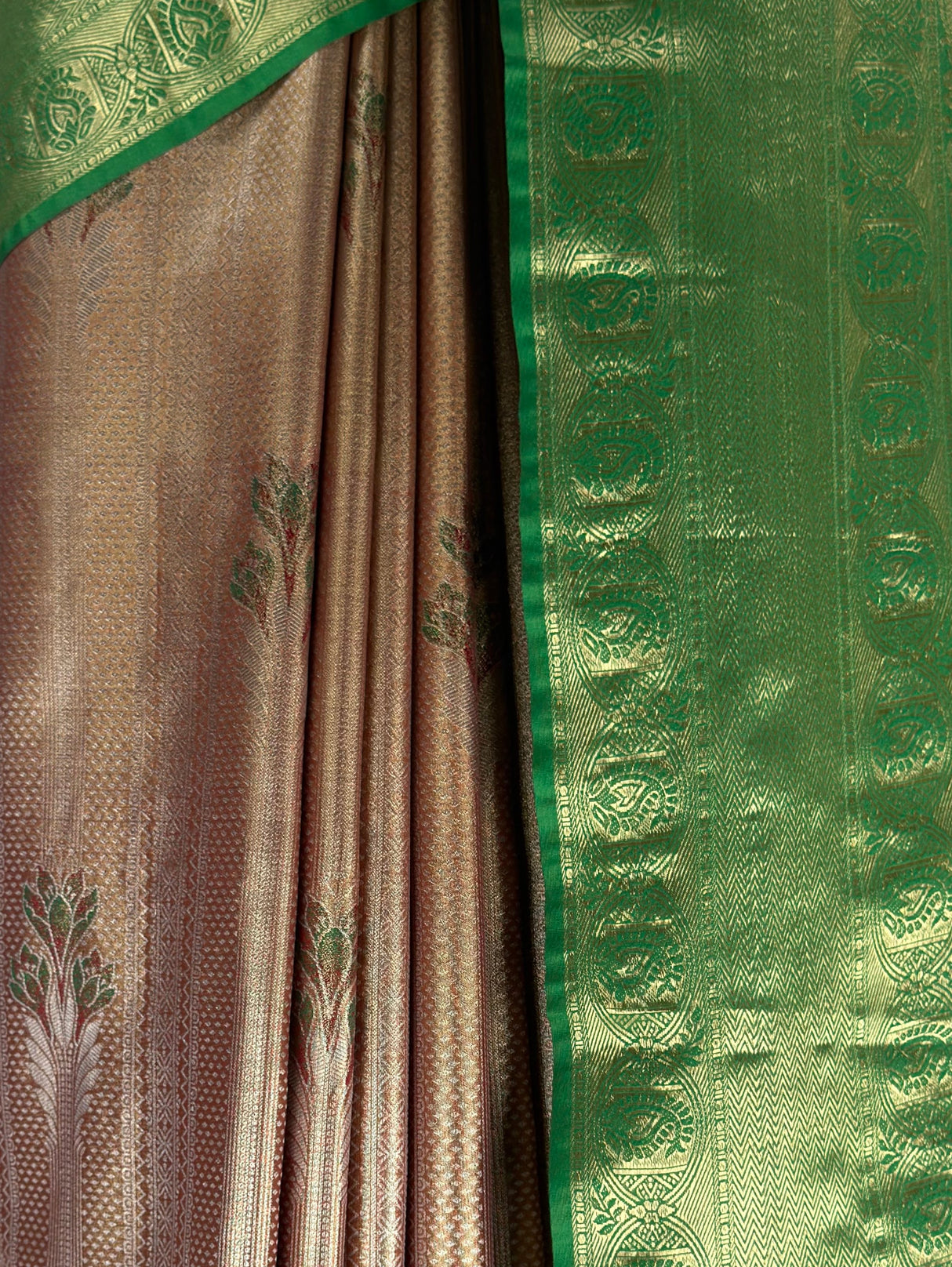 MIMOSA Maroon Saree Saree — fleets shot full lifestyle
