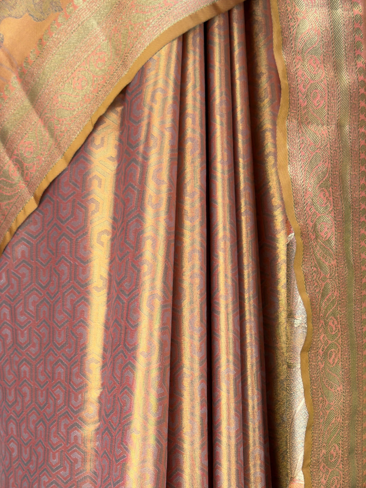 MIMOSA Saree Saree — fleets shot full lifestyle