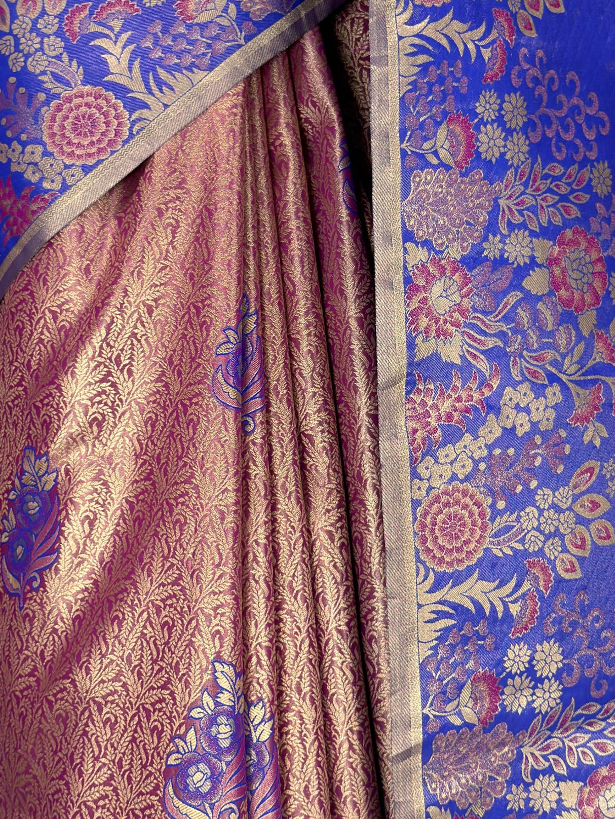 MIMOSA Saree Saree — fleets shot full lifestyle