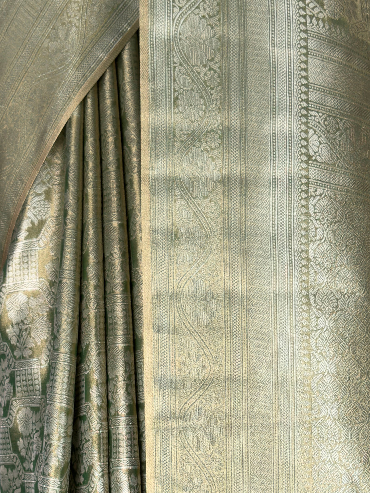 MIMOSA Saree Saree — fleets shot full lifestyle