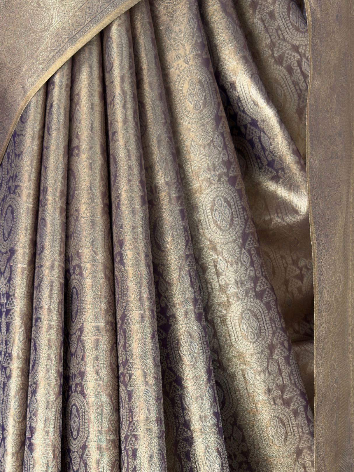 MIMOSA Saree Saree — fleets shot full lifestyle
