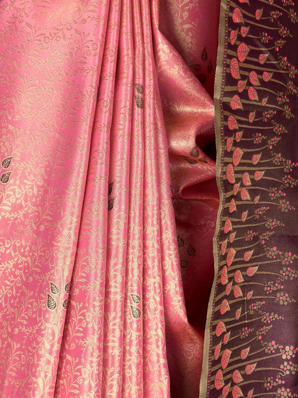 MIMOSA Saree Saree — fleets shot full lifestyle